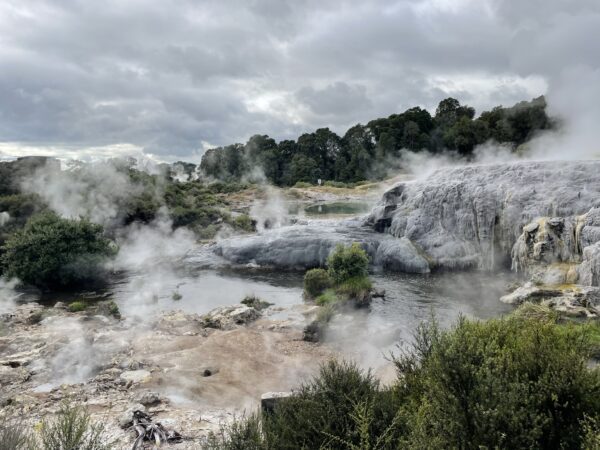 Te Puia - Best geothermal parks in Rotorua
