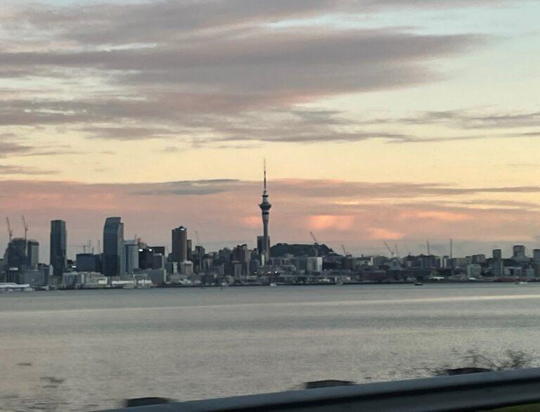 14 rainy day activities in Auckland for families